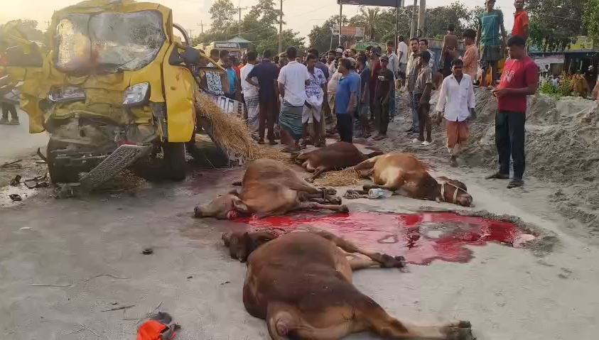কালিয়াকৈরে বাস-গরুবাহী ট্রাক সংঘর্ষে নিহত ২, আহত ২